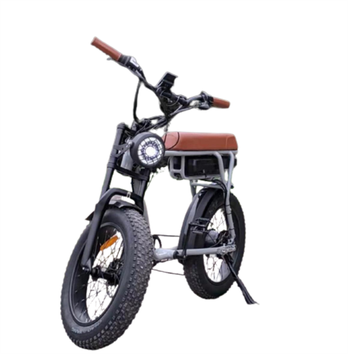 ESMASTER RS 250 NARDO GREY