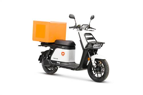 Yadea Y1S Delivery wit