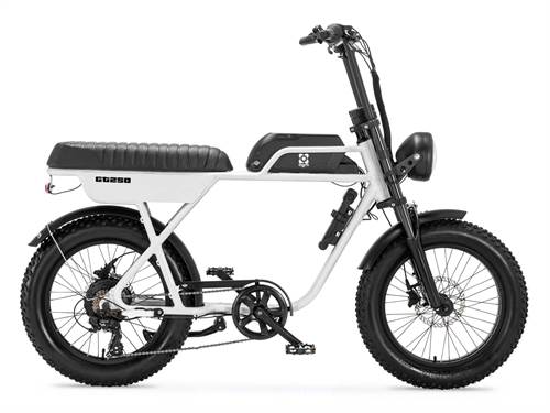AGM GT250 wit