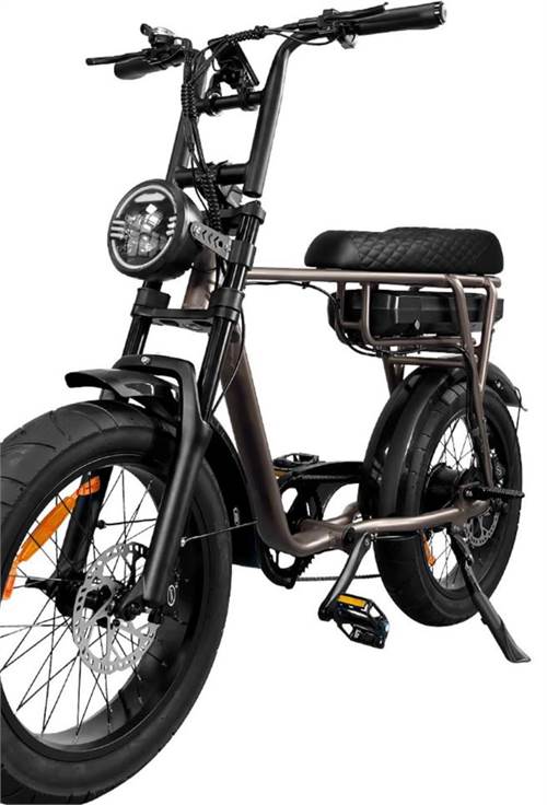 ESMaster RS II bruin