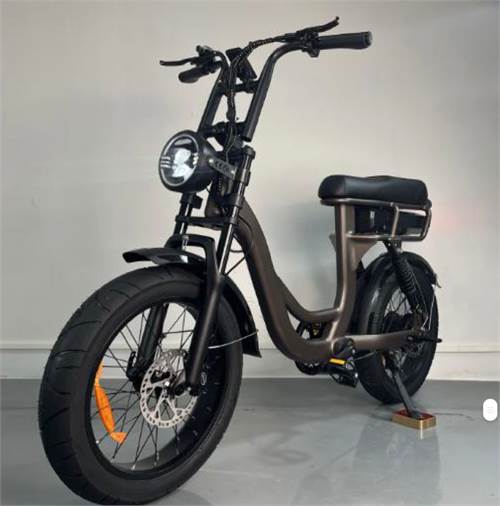ESMaster RS II L bruin