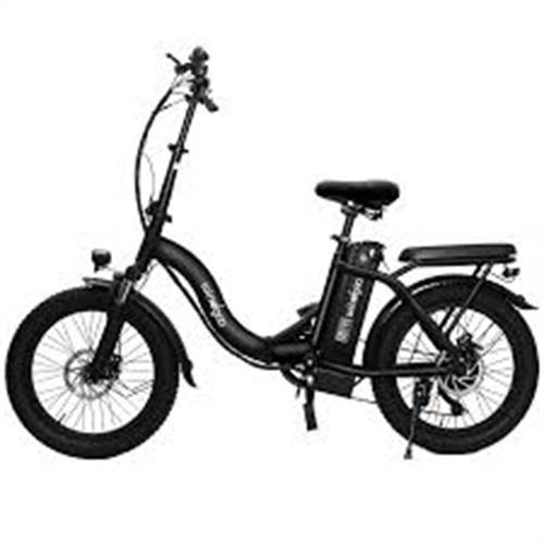 windgoo e20