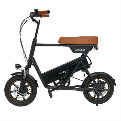 Windgoo F1