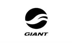 elektrischefietsen/nieuw/giant.html